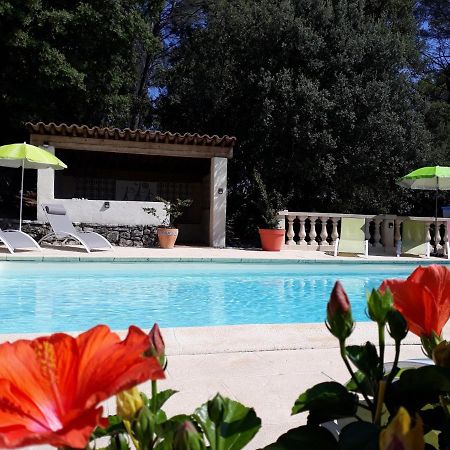 Le Mas Des Hibiscus Trans-en-Provence Exteriér fotografie